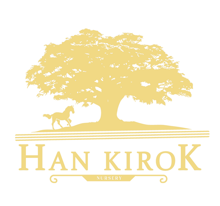 Han Kirok's Collection
