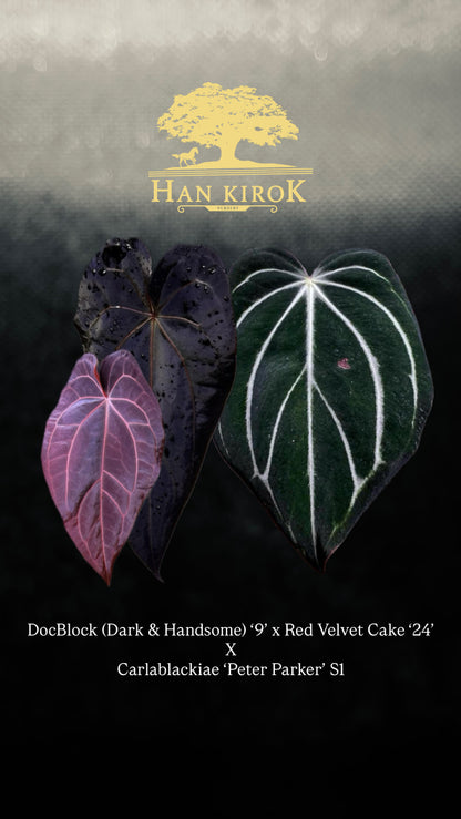 DocBlock (Dark & Handsome) ‘9’ x Red Velvet Cake ‘24’ X Carlablackiae ‘Peter Parker’ S1